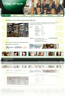 Annex Group Website Design Hamilton New Zealand