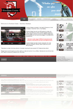 Annex Group Website Design Hamilton New Zealand